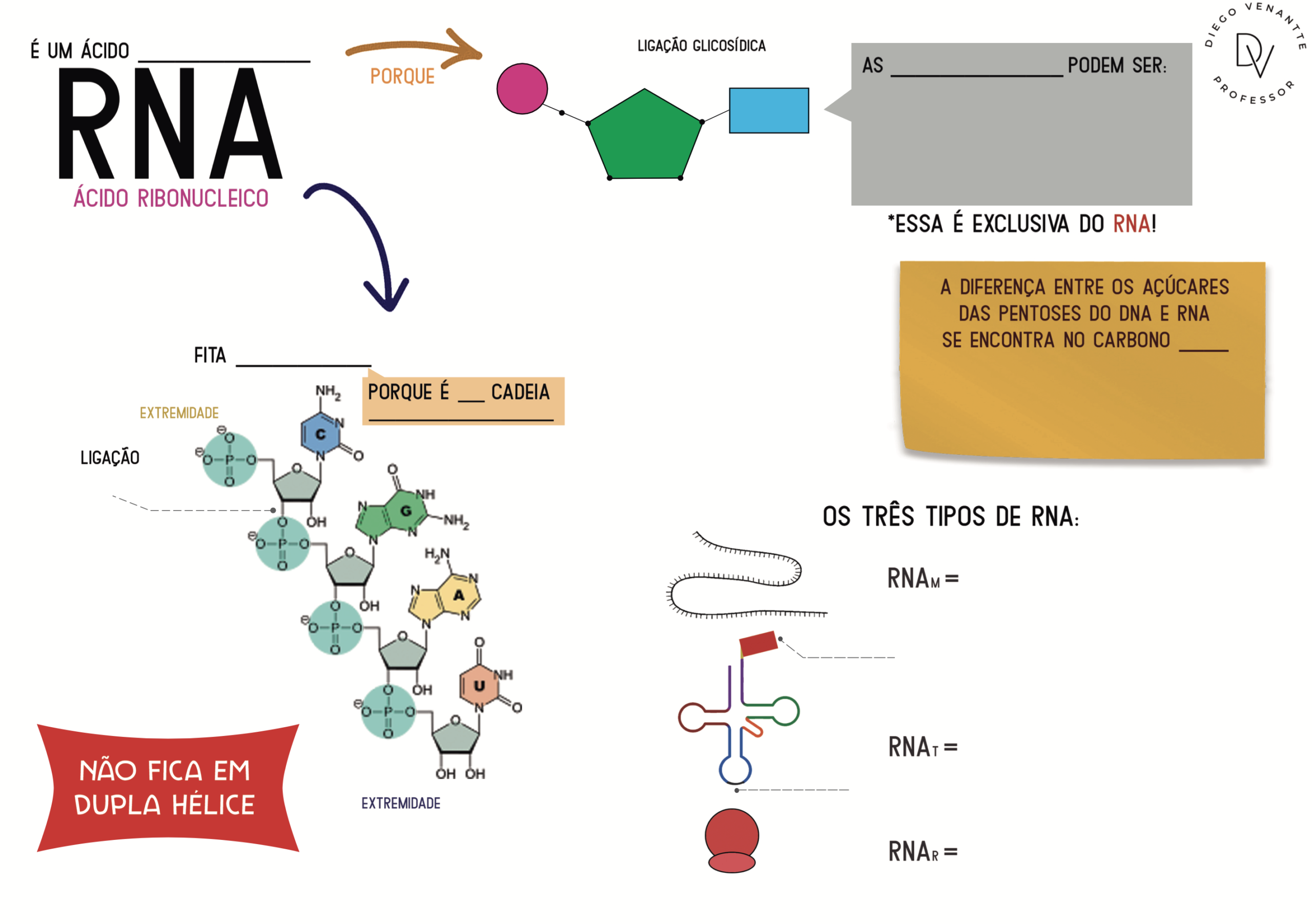 rna