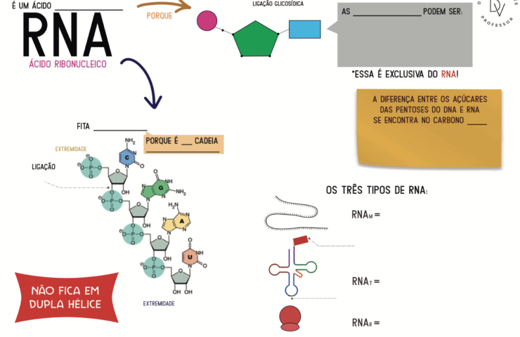 rna